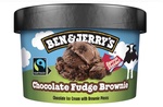 Ben & Jerry's Chocolate Fudge Brownie 100ml