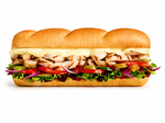 Chicken Breast