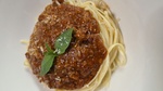 Bolognese 
