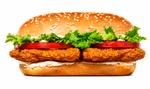 Long Seasoned Chicken